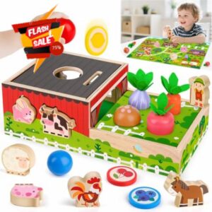 Montessori Wooden Toddler Toys for 1 2 3 Year Old Boys Girls