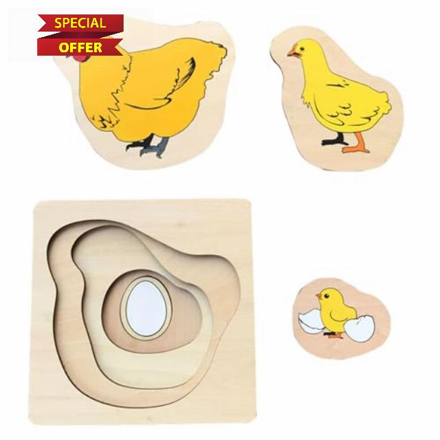 Montessori Wooden Jigsaw Puzzles