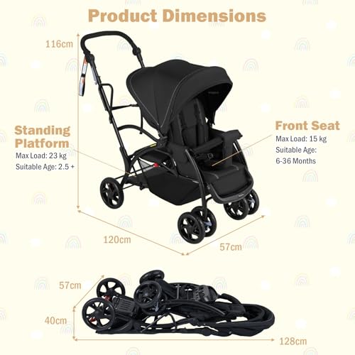 5-Point Harness and Storage Basket