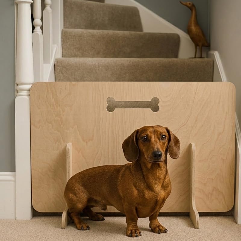 Easy Carry Bone Handle