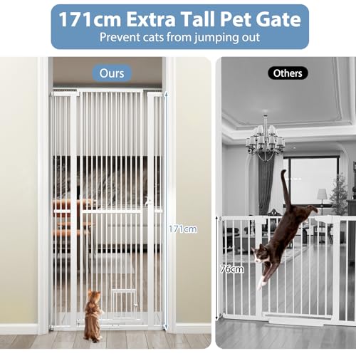 Kitchen (171cm Tall)