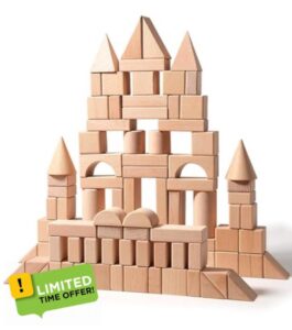 Montessori Wooden Building Blocks Set