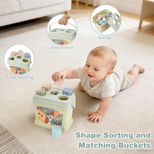 Shape Sorter & Sensory Balls