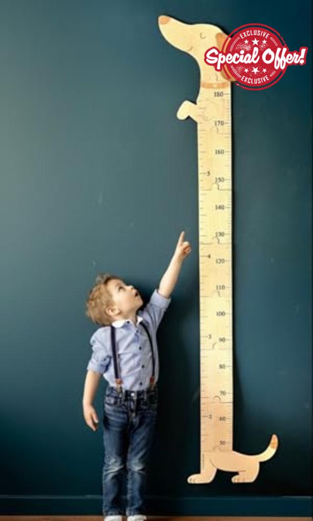 Madpac Dachshund Dog Wooden Height Chart for kids | Cute Nursery Decor | Animal theme Nursery | First Birthday Gift | Sausage Dog | kids room decor | Woodland Animal Nursery Decor | Child Growth Chart | Cute Dachshund Nursery Deco