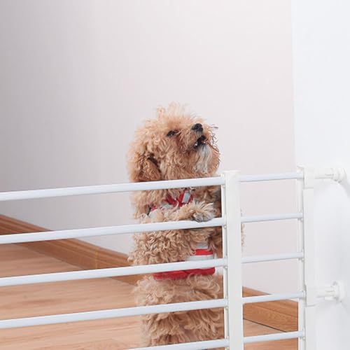 Indoor Pett Divider for Stairs