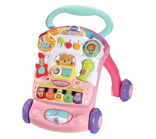 Push Along Walker Baby Toy with Shapes