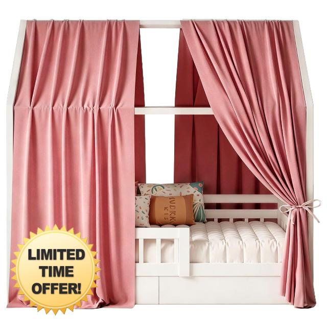 House Bed Canopy