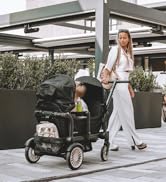 Deryan Sandy Children's Handcart, Foldable Handcart, All-Terrain, Foldable, Sliding Function, Sun...