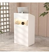 White rectangular display pedestal or cabinet in minimalist setting with concrete floor and latticed window. Small decorative plant visible.