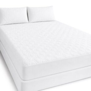Mattress Protectio