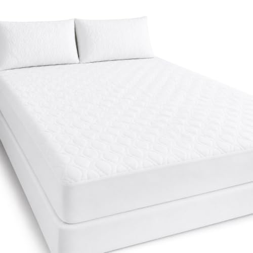 Mattress Protectio