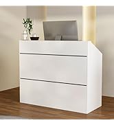 DEZAGCE Reception Desk with LED Lighting Display Shelf, Reception Counter with Keyboard Drawer, F...