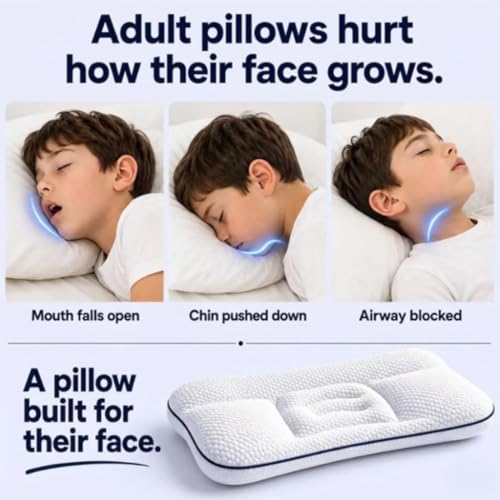 5-Zone Spine Support Pillow