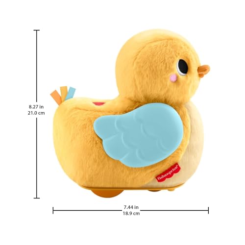 Newborn to Infant Ages 0+