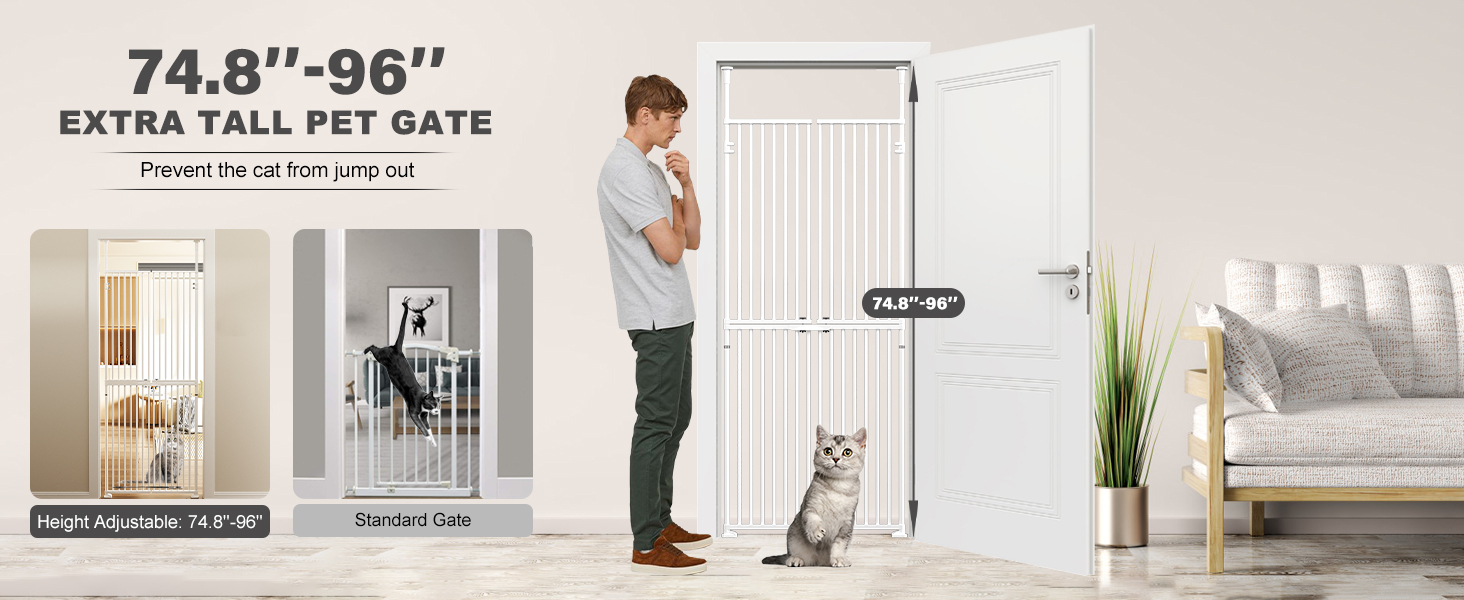 Bright living room with teal sofa, wooden sideboard, and glass door. Large dog in blue shirt sits on hardwood floor. Room has white walls and curtains.