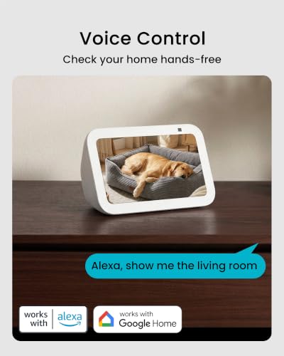 Works with Alexa & Google Home