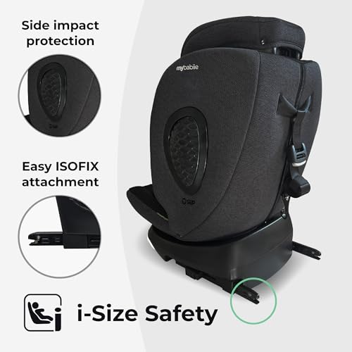 Rotating 360 Swivel - Black Leo