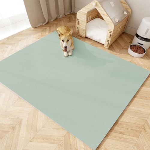5mm Thick Wipeable Cat Litter Trapper