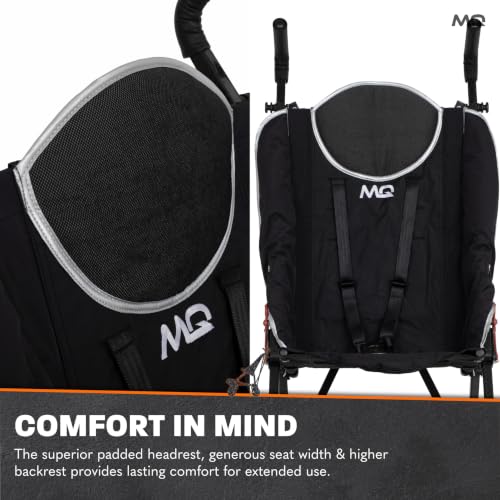 5-Point Harness