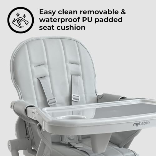 Padded Seat