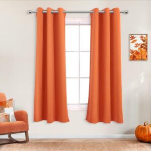 Grommet Solid Thick Autumn Curtains for Bedroom Living Room 42x63