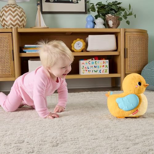 Waddle & Flapping Motion