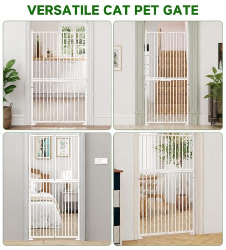 Anti-escape for Cats and Dogs