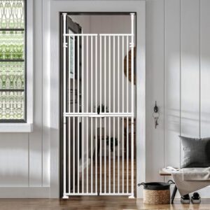Adjustable Extra Tall Cat Door with Lock
