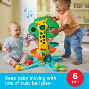 6 Balls