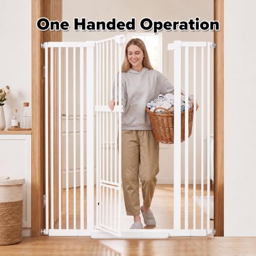 Indoor Easy Walk Through Metal Gate for Doorways