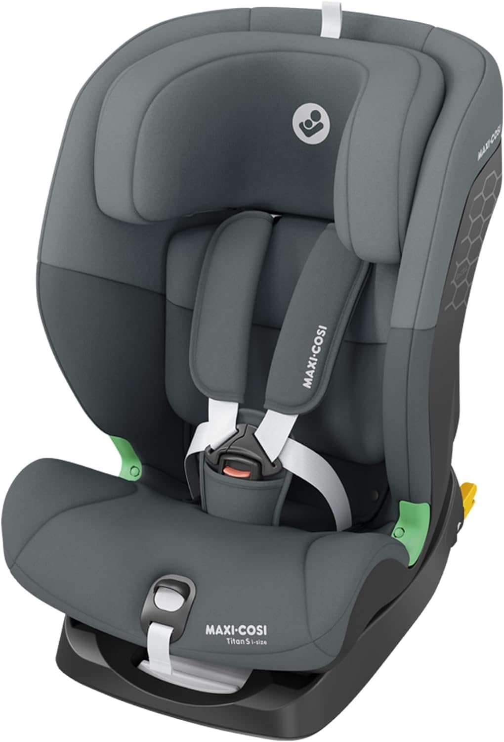 5-Point Safety Harness