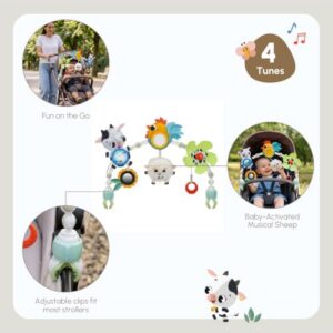 Baby Pram Toy