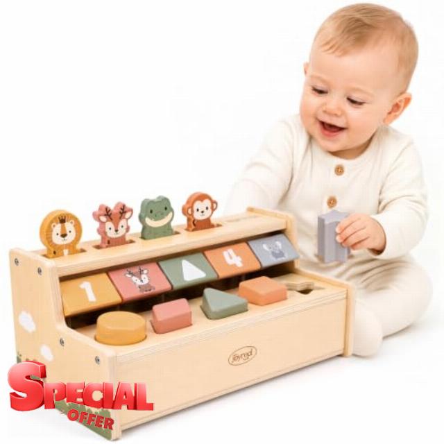 Joyreal Montessori Toys for 1 Year Old Boys Girls