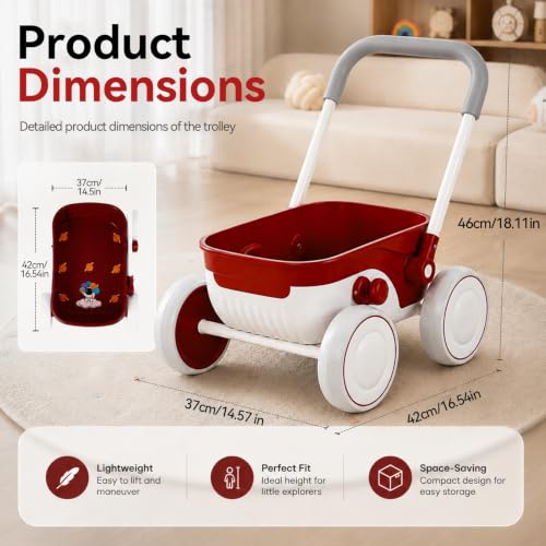Gift 2-In-1 Baby Walker