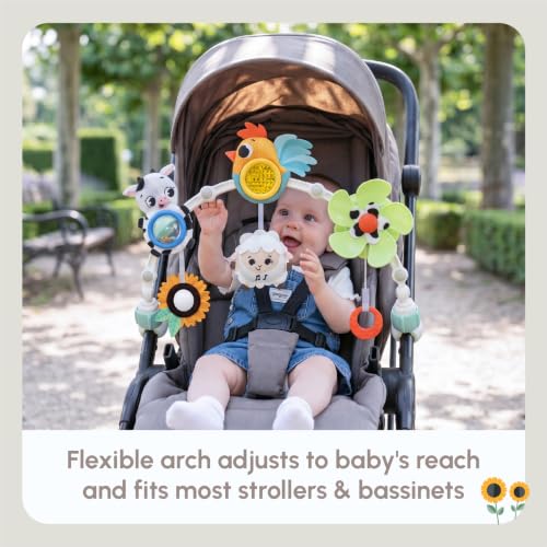 8 Developmental Activities