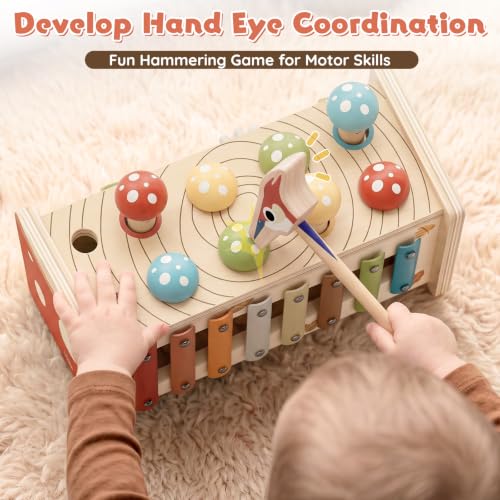 Safe Sensory Educational & Early Development Activity Toy for Boy Girl Age 1-3