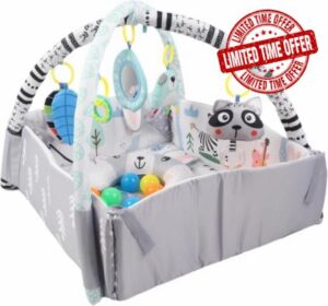 Baby Play Gym 4-in-1 Activity Mat with Ball Pit