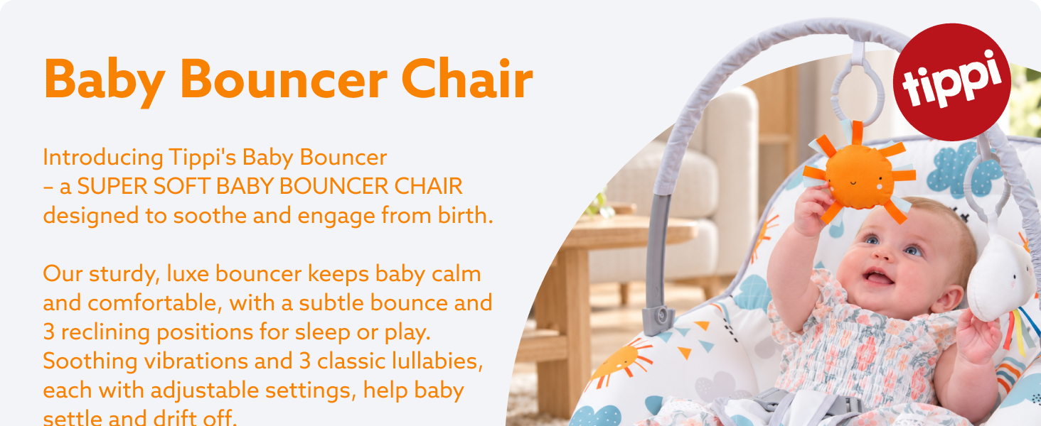 Text reads 'Baby Bouncer Chair' and 'Introducing Tiny's Baby Bouncer Chair, a soothing solution for your little one's comfort and well-being. Designed to soothe and engage baby with a soft bouncer and 3 rocking positions for easy on-the-go play. Each with adjustable settings, help baby settle and drift off.' Gray wooden-framed infant bouncer with colorful toy attachments and a small teddy bear nearby.